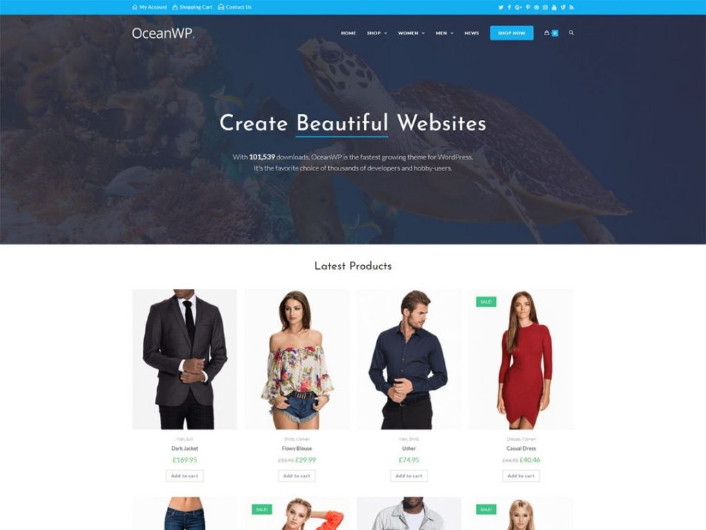 Most installed free woocommerce theme OceanWP